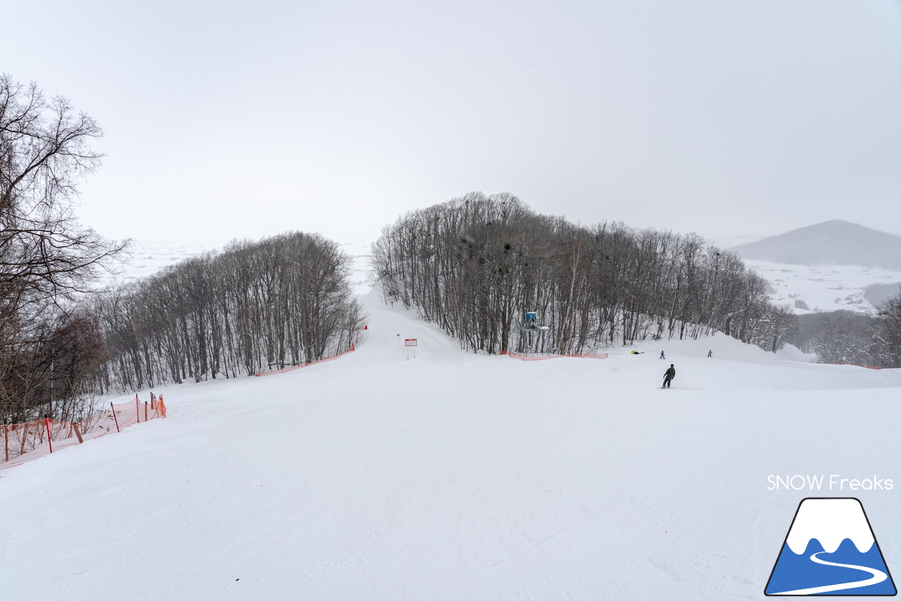 キャンモアスキービレッジ｜アットホームな人の優しさがもたらす、居心地の良さ…。スペックなどの数字では表すことが出来ない、スケール感の大きな素晴らしきローカルスキー場♪